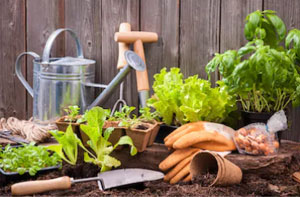 Garden Maintenance Doncaster