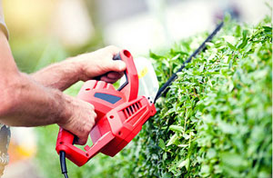 Gardeners in Ripple, UK