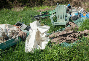 Garden Clearance Polstead